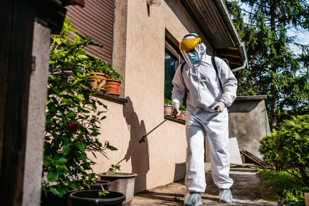 Best Insect Control  in Long Beach, WA