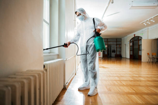 Best Cockroach Control Services  in Long Beach, WA