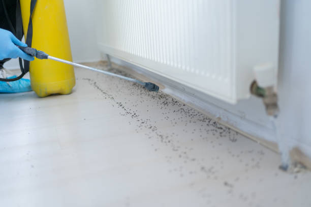  Long Beach, WA Pest Control Pros